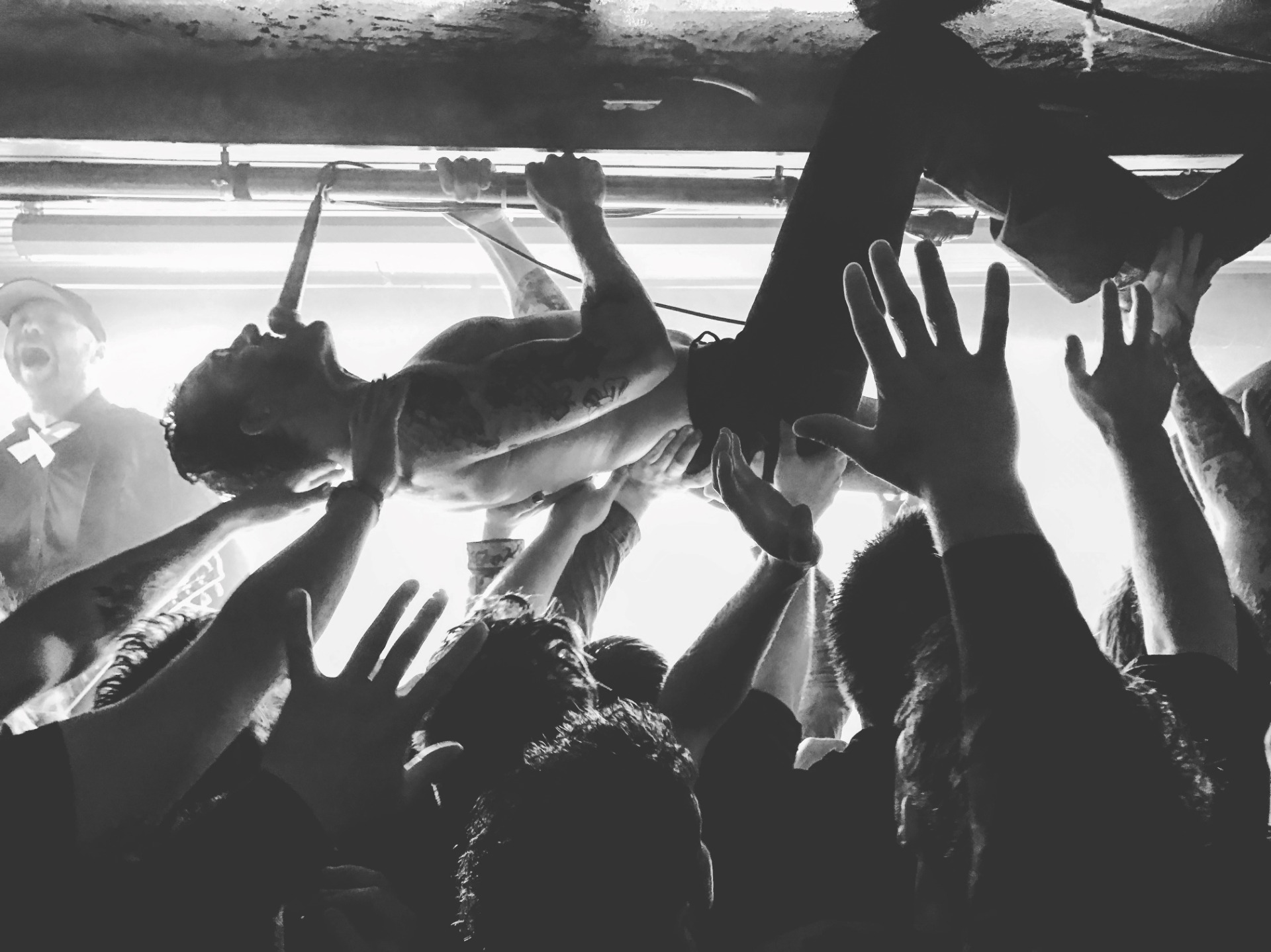 The Dogs @ RiP, Foto Max Emanuelson